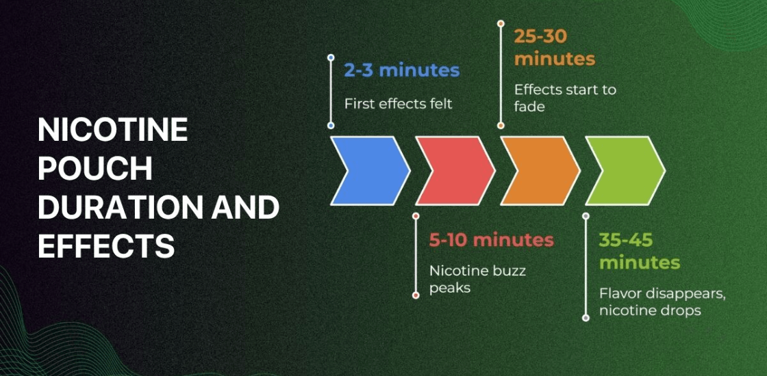 How Long Do Nicotine Pouches Last: Complete Duration Guide - Pouchland