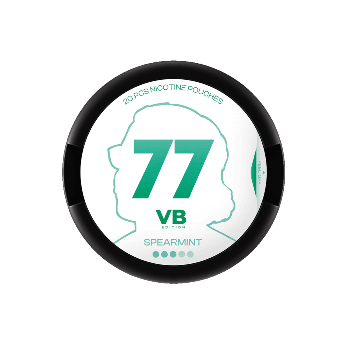 77 Spearmint - Pouchland