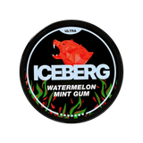 ICEBERG Chewing-gum Pastèque Menthe 70mg