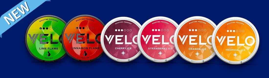 A World of Flavor: Exploring Popular Nicotine Pouch Options - Pouchland