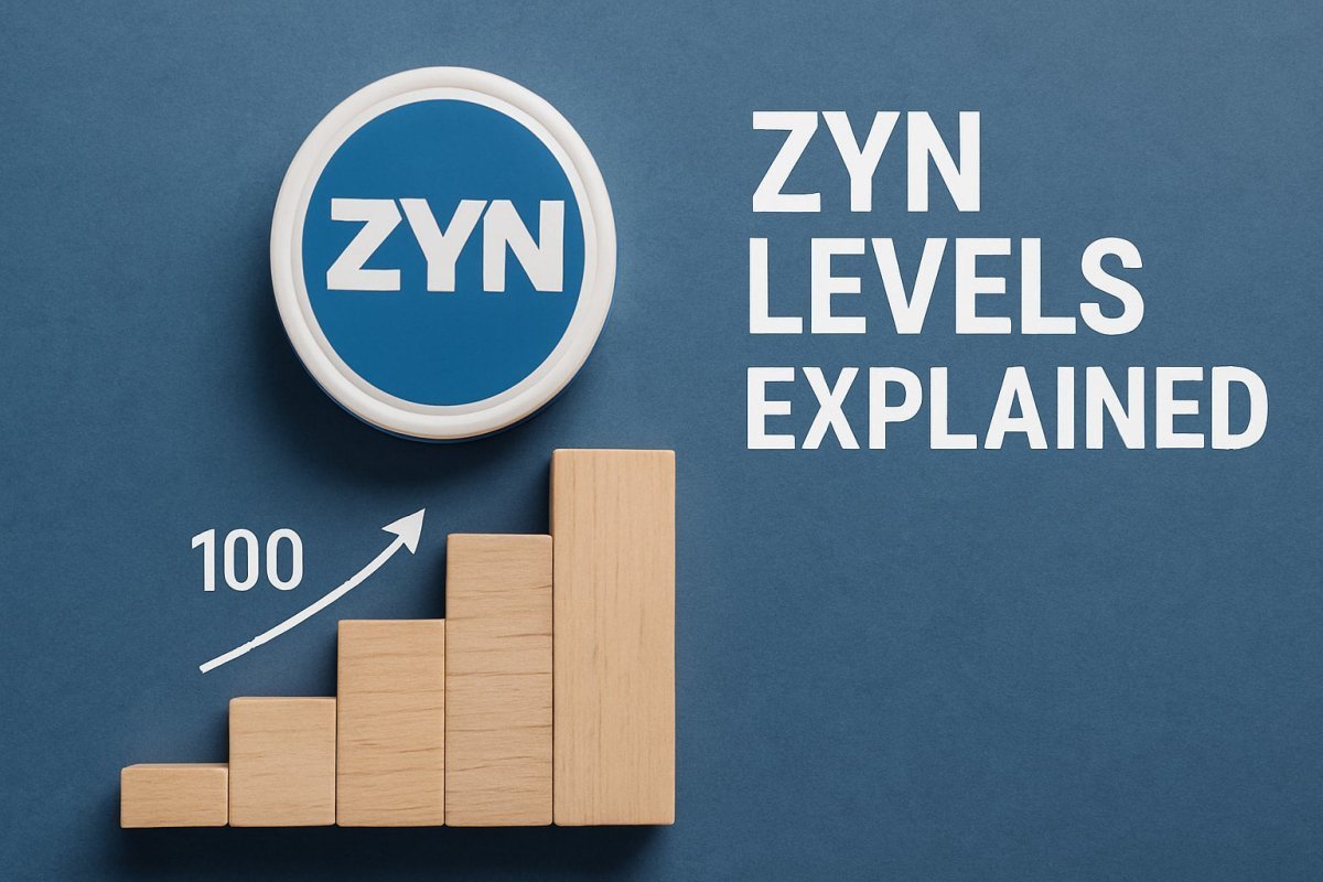 Zyn Levels Explained: The Essential Guide for 2026 - Pouchland
