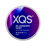 XQS Blueberry Mint Strong